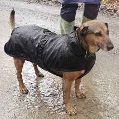 KARUSEK Polyester and fleece rug for dogs