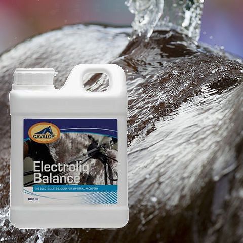 12B CAVALOR ELECTROLIQ BALANCE® Liquid solution to compensate for electrolyte losses in 1000ml