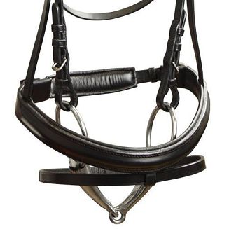 Tranzelka z naczółkiem i nachrapnikiem podszywnym, naczółek z kryształkami, wodze parciane.