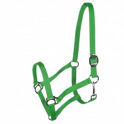 Tape halter - Basic