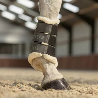 Leg protection QHP Equestrian Dream / 4098 - 2