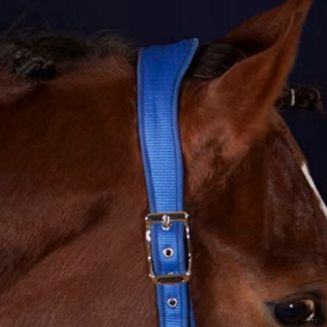 Kantar SCHOCKEMÖHLE Memphis Anatomic Style / 1311-00030 - 2