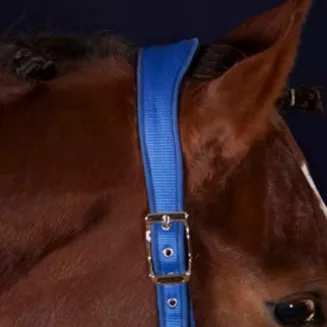 Headcollar SCHOCKEMÖHLE Memphis Anatomic Style / 1311-00030 - 2