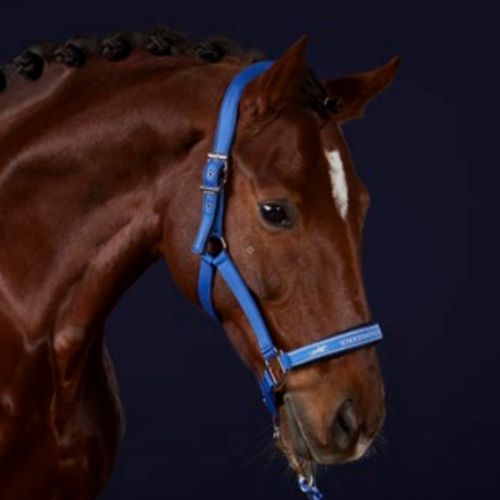 Kantar SCHOCKEMÖHLE Memphis Anatomic Style / 1311-00030 - kolor luxury blue