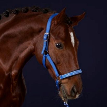 Headcollar SCHOCKEMÖHLE Memphis Anatomic Style / 1311-00030