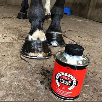 Olej do kopyt, z pędzelkiem CARR & DAY & MARTIN Cornucrescine Daily Hoof Barrier - 500ml / HO107