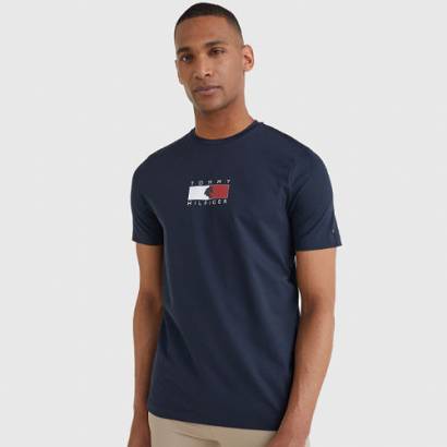Men's t-shirt TOMMY HILFIGER Style, Spring - Summer 2022 / TH10082