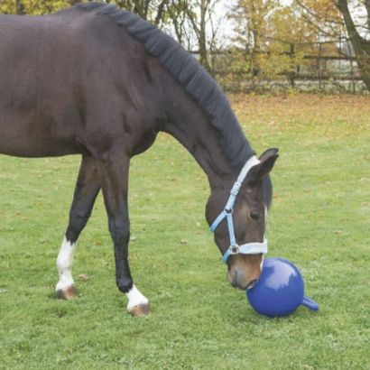 Playball for horses KERBL / 32399