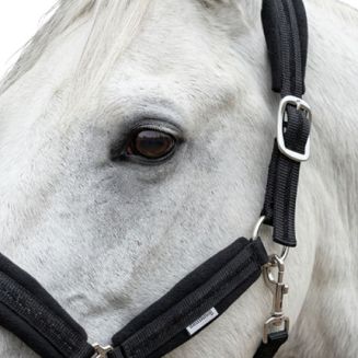Kantar wyposażony został w klasyczne metalowe okucia oraz zapięcia na klamry z bolcem, które zapewniają łatwe zakładanie i zdejmowanie.