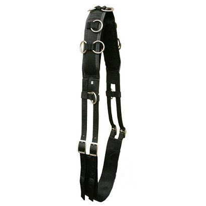 Nylon lunging roller MUSTANG padded with suede / 1710 