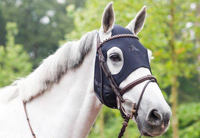 INFRARED Technologia dalekiej podczerwieni w maskach uspokajających dla koni FENWICK LIQUID TITANIUM