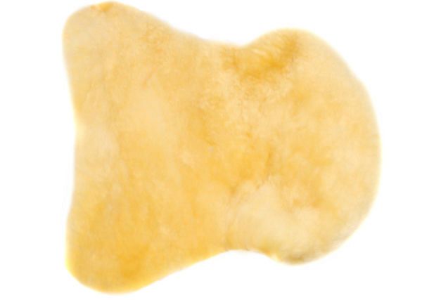 Futro naturalne/medyczne - pielęgnacja