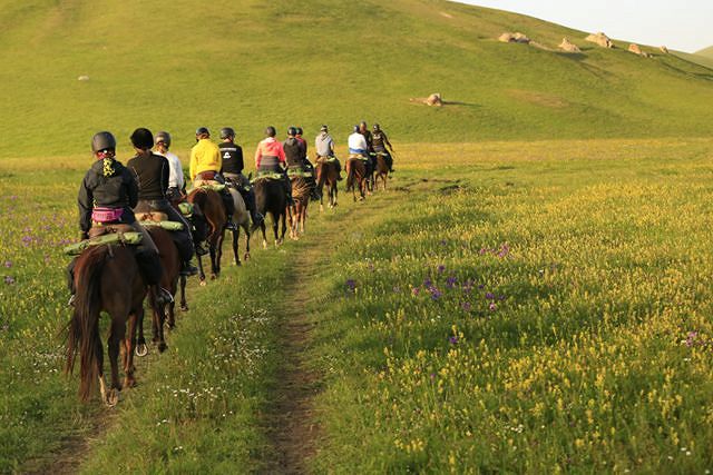 Co zabrać na rajd jeździecki?