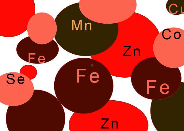 *MIKROELEMENTY - ich rola  w diecie konia i objawy niedoboru