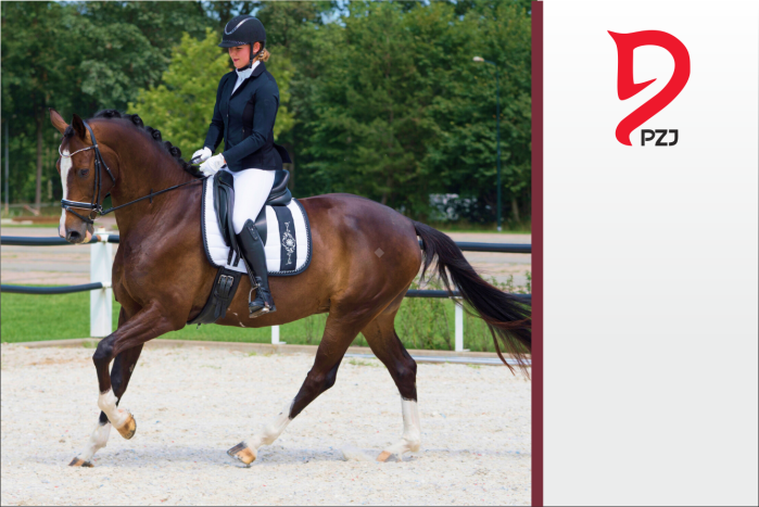 Przepisy PZJ - UBIÓR - Ujeżdżenie