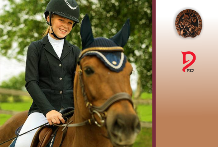 Odznaki jeździeckie PZJ  - ODZNAKA BRĄZOWA -Wymagania egzaminacyjne