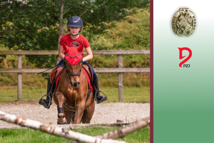 Odznaki jeździeckie PZJ  - JEŻDŻĘ KONNO - Wymagania egzaminacyjne