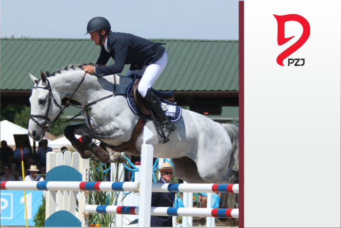 Przepisy PZJ - RZĄD Koński - Skoki przez Przeszkody