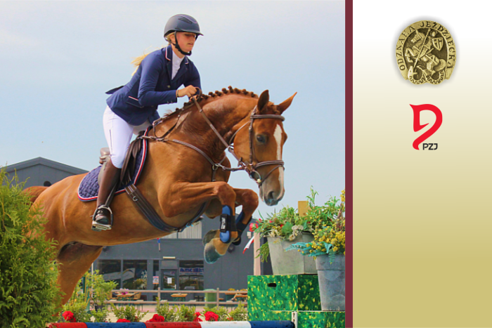 Odznaki jeździeckie PZJ  - ODZNAKA ZŁOTA - Wymagania egzaminacyjne