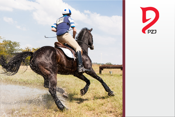 * Odznaki jeździeckie PZJ  - ODZNAKI SPECJALISTYCZNE  - Wymagania egzaminacyjne