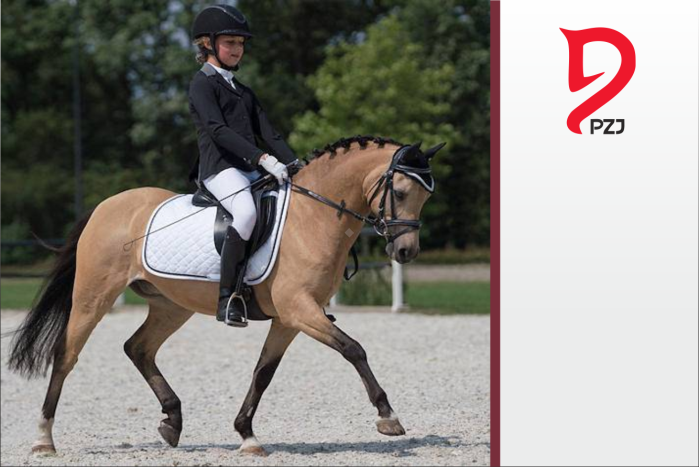 Przepisy PZJ - RZĄD Koński - Ujeżdżenie