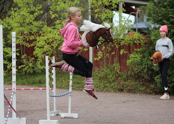 *Hobby Horse