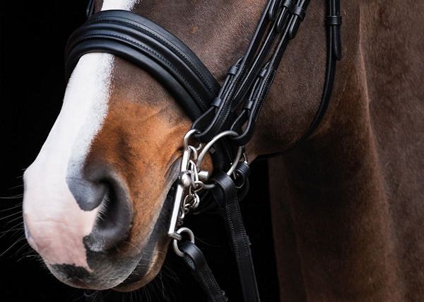 Co to jest munsztuk?