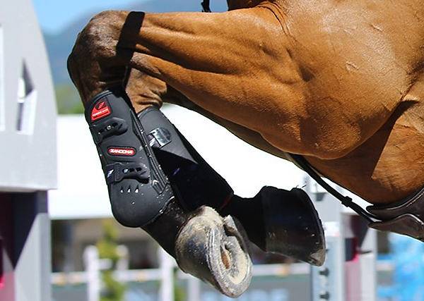 Jakie wybrać ochraniacze sportowe na nogi konia  i kiedy je zakładać?