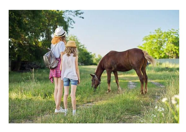 Co koniecznie zabrać na obóz jeździecki.