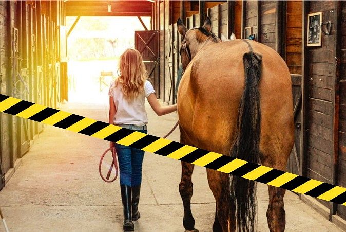 Bezpieczeństwo w stajni: zasady i procedury