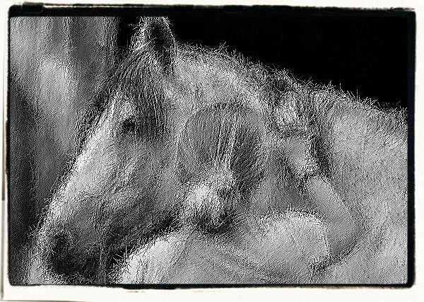 Część I - Rozdział czwarty