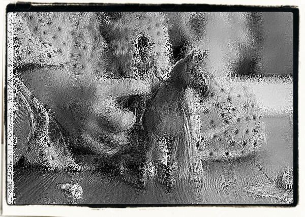 Część I - Rozdział pierwszy