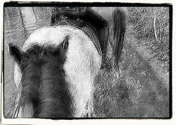 Część II - Rozdział pierwszy