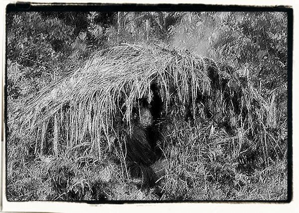 Część II - Rozdział siódmy