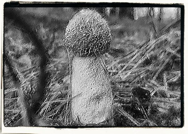 Część III - Rozdział czwarty