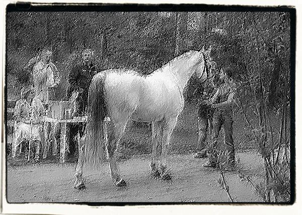 Część III - Rozdział siódmy