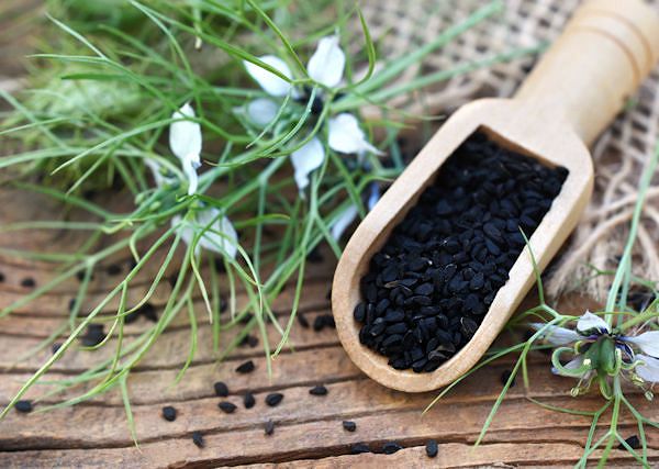 CZARNUSZKA / Nigella. Działanie przeciwbakteryjne, zwiększenie odporności koni, wspomaganie leczenia - górne drogi oddechowe i układ pokarmowy.