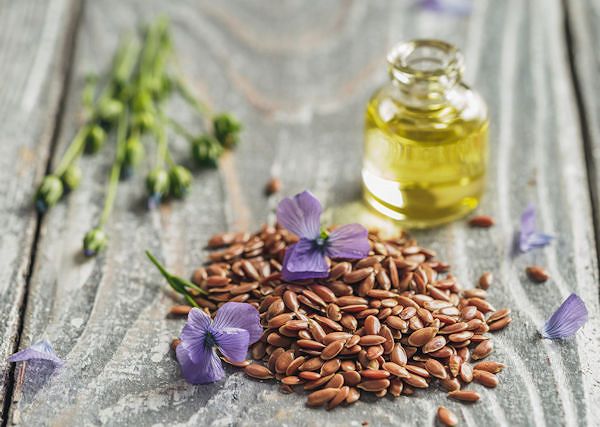 LEN - Linum. W żywieniu koni oraz w preparatach pielęgnacyjnych dla koni.