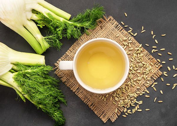 KOPER WŁOSKI - Foeniculum Vulgare – (fenkuł włoski)