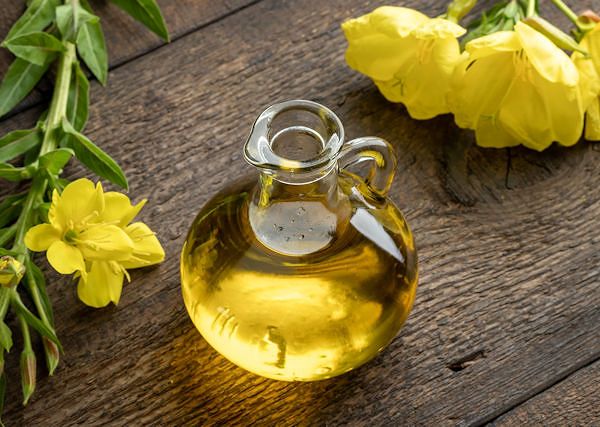 WIESIOŁEK- Oenothera. Naturalny suplement dla koni, wpierający układ pokarmowy i działający leczniczo na skórę konia.