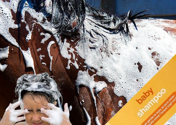 Szampon dla niemowląt - czy jest bezpieczny dla koni?