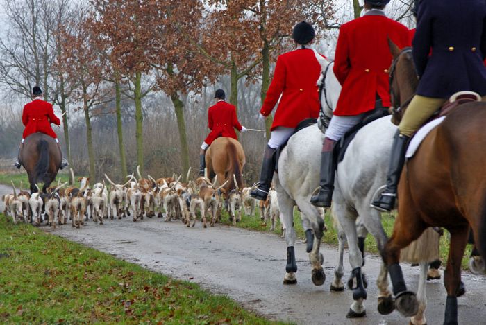 HUBERTUS - święto jeźdźców.