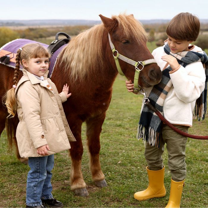 Twoje dziecko zaczyna jeździć konno? Zobacz, co powinieneś wiedzieć
