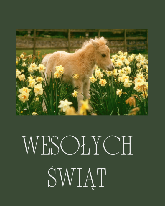 Wielkanocne tradycje… w stajni?